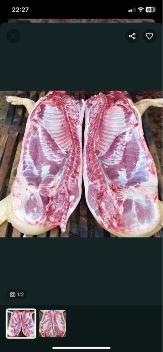 Свинина домашня , під замовлення