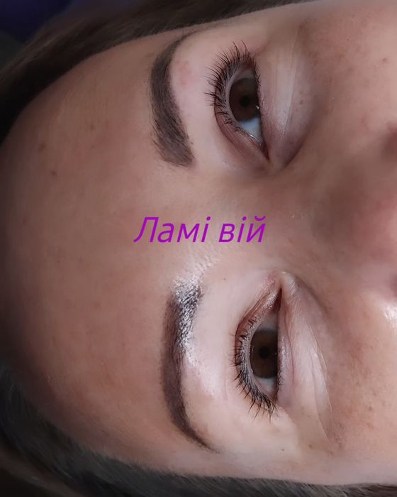 ЛАМІ Вій та брів, моделі, хна, Виноградар, Варшавський.