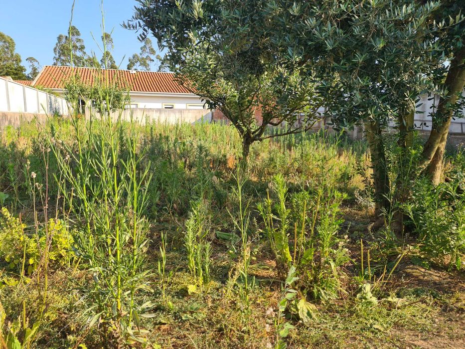 Vendo terreno pronto a construir