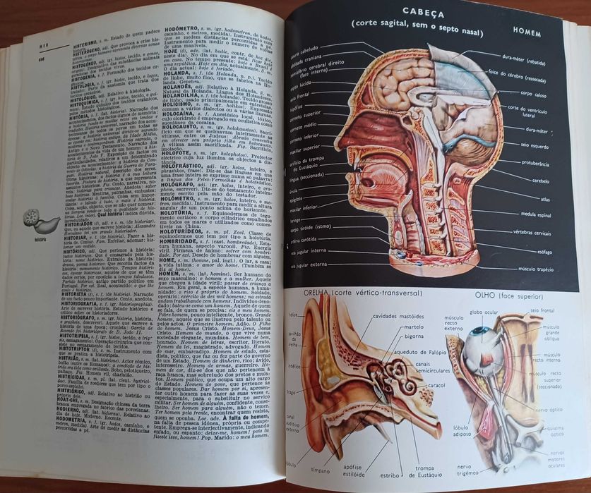 Dicionário Prático Ilustrado Lello