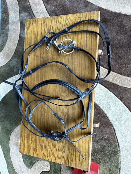 kantar i lejce dla konia