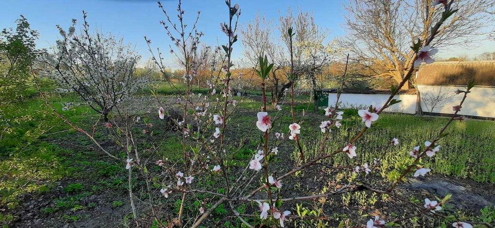 Невеличка,бюджетна дачка. Переоформлення через кооператив.