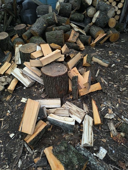 Drewno kominkowe, opałowe. Dowóz.