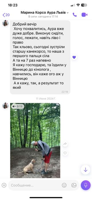 Кінолог для собак