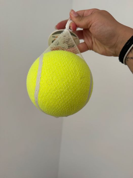 Itens de Cão - Cama, Repelente, Ração, Bola etc