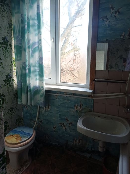 Будинок неподалік річки Десна. ЗРУЧНОСТІ. Село Гусавка.