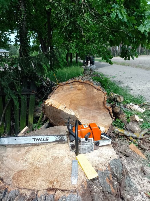 Wycinka  Drzew. Pielęgnacje ogrodów