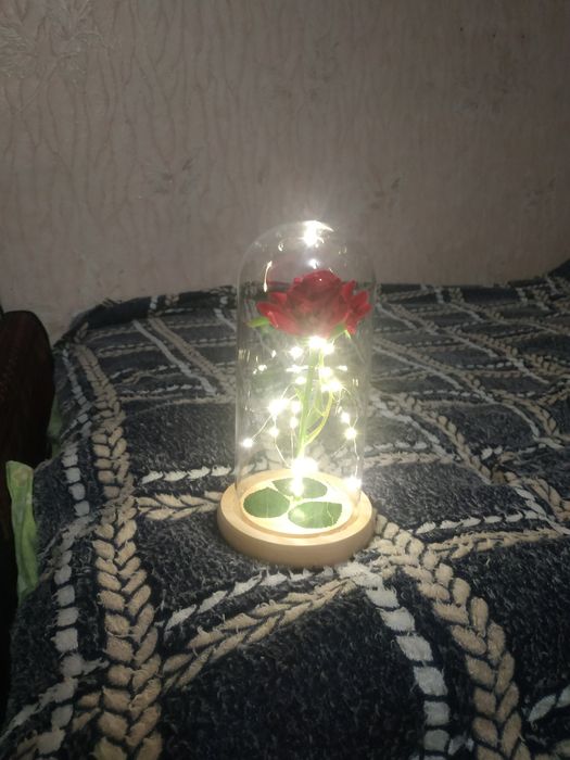 Троянда світильник в колбі