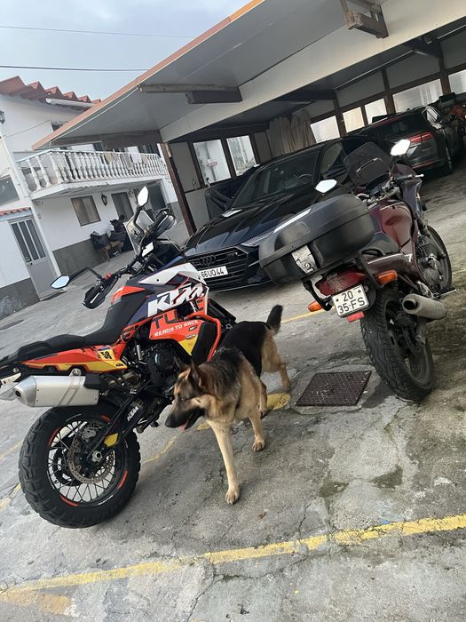 Xj 600 s , diversion 1995