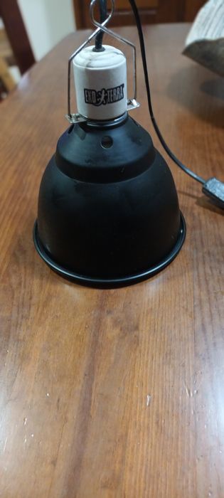 Lâmpada com suporte para répteis