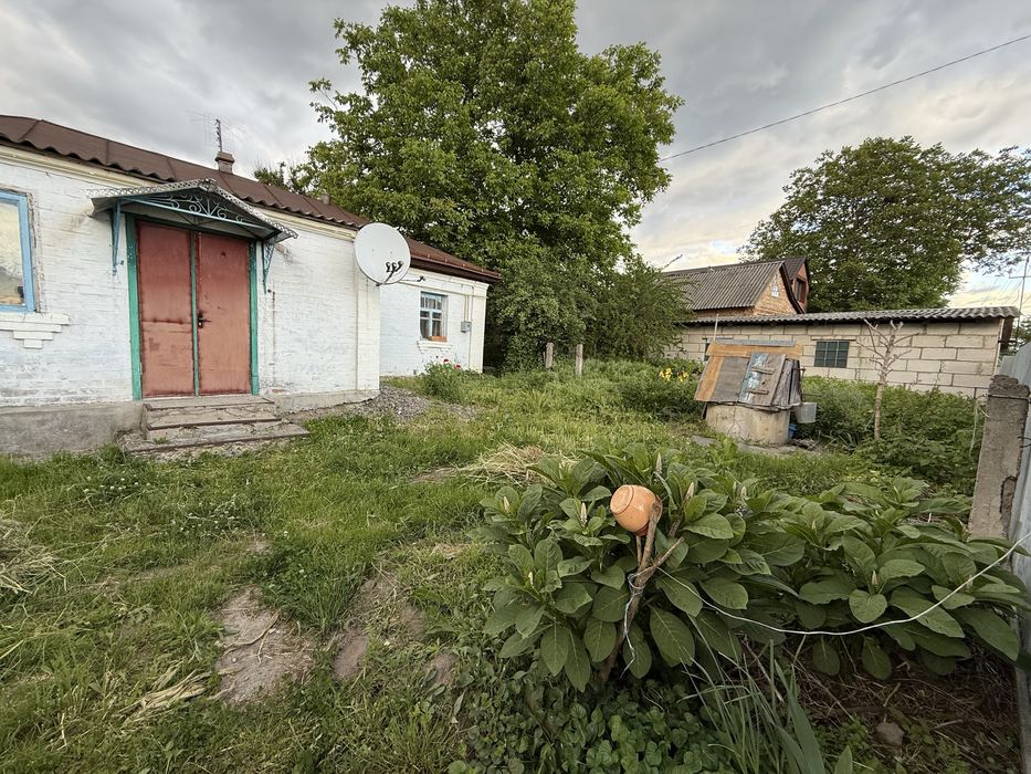 Продам земельну ділянку село Здорівка, Васильківський р-н