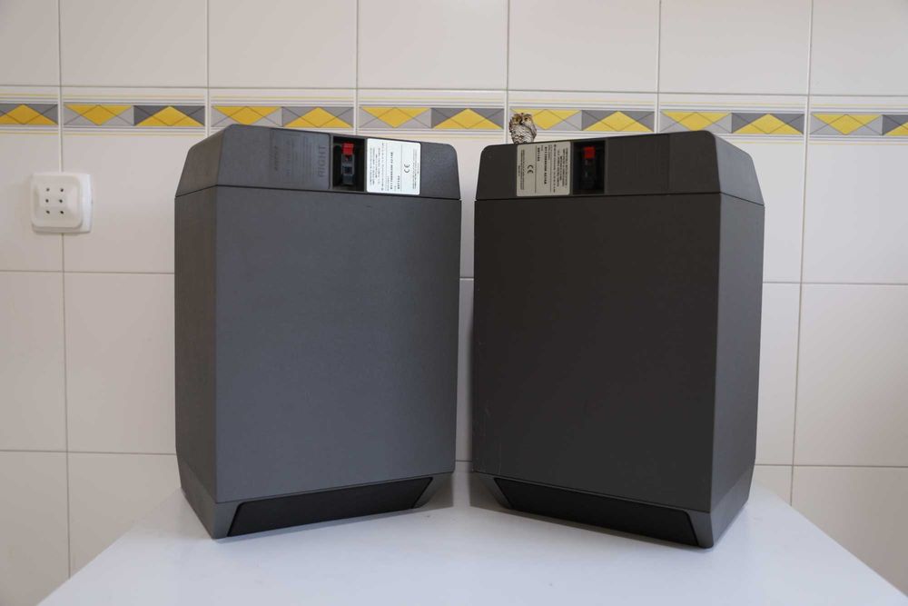 Bose - 301 serie IV colunas 150 watts