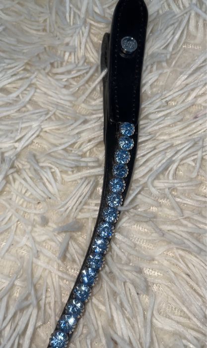 Naczółek Ps of Sweden