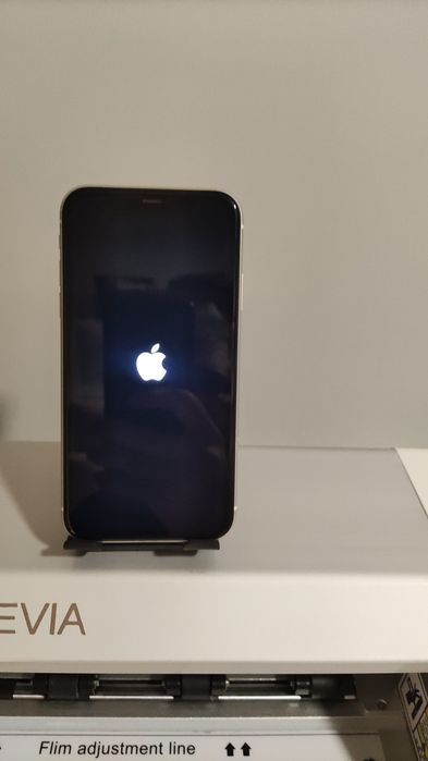 Iphone 11 com garantia