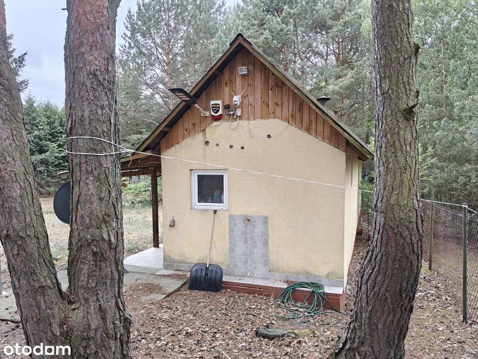 Syndyk sprzeda - Łacha