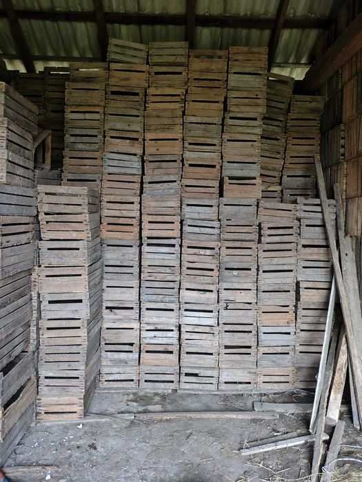 Skrzynki drewniane uniwersalne