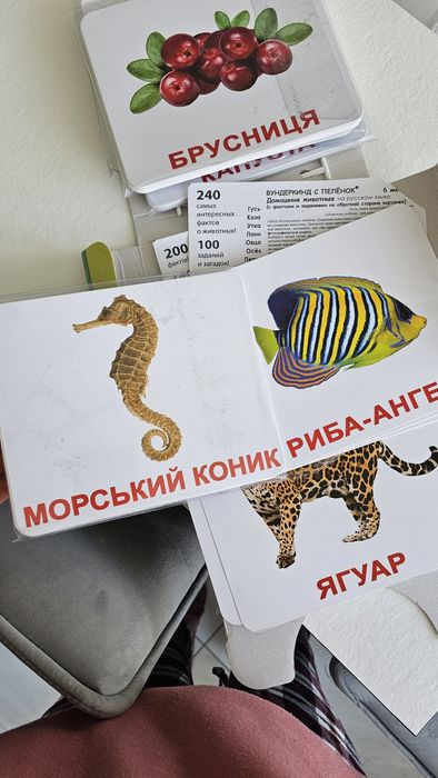 Набір картки Домана, велика валіза, рос і укр мови