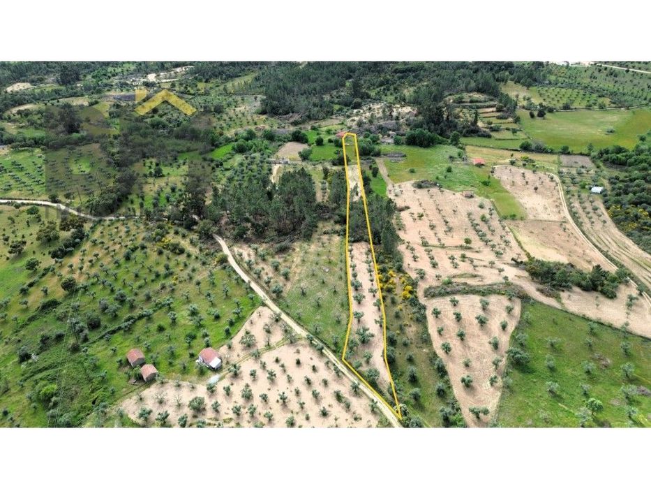 Terreno rústico com 5.480 m² à venda em Juncal do Campo!