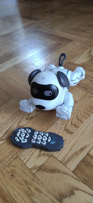 Interaktywny pies robot.