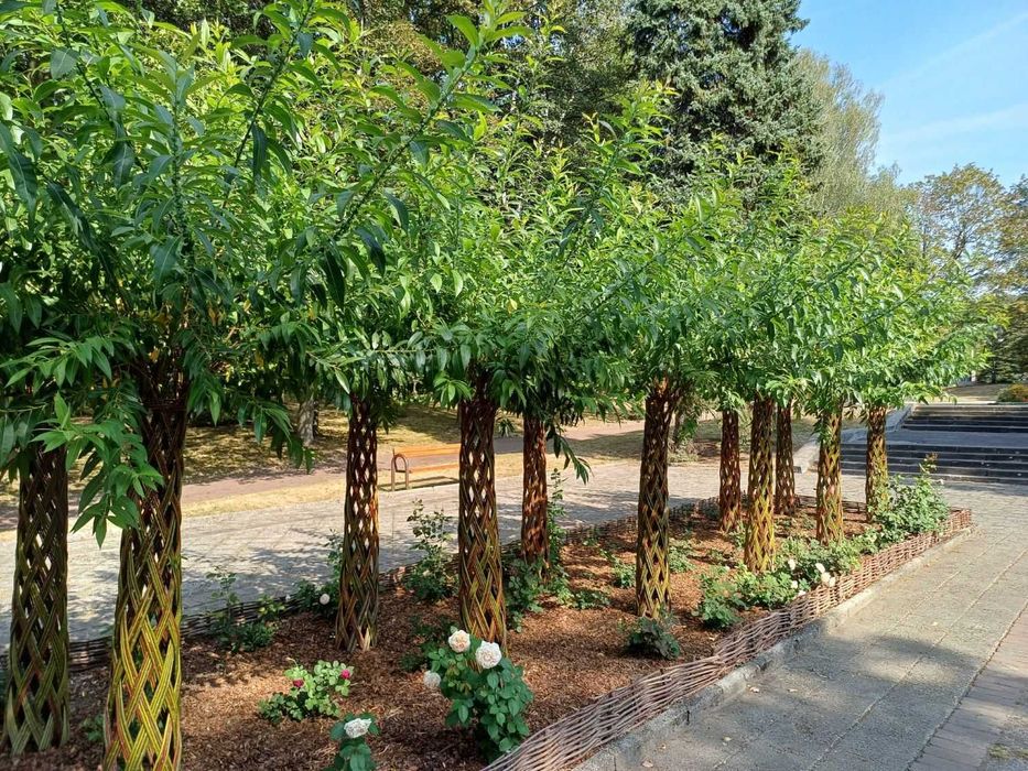 Piękna Wierzba Pleciona! Zajączek! Palma! Hurt i detal! Dostawa PL