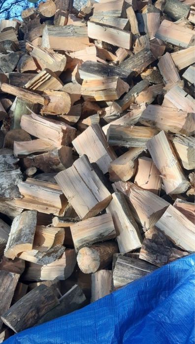 Suche Drewno kominkowe galeziówka tani transport