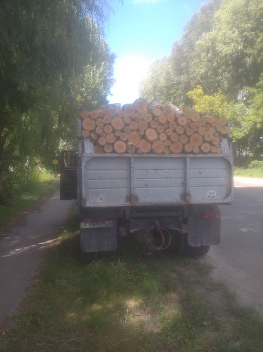 Продам дрова береза