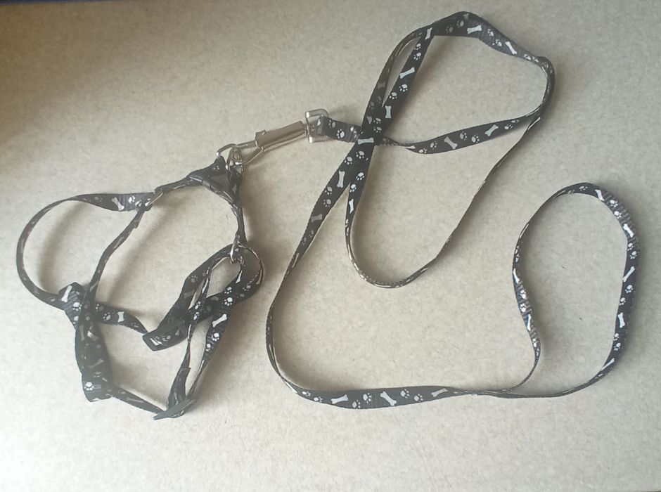 Поводок + ошейник для собак или котов