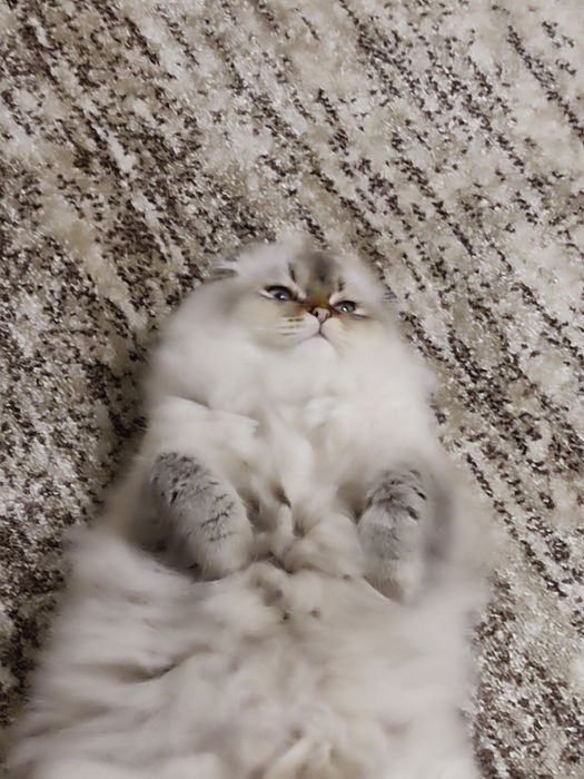 Будь ласка!!!SOS!!!ми не втрачаємо НАДІЮ