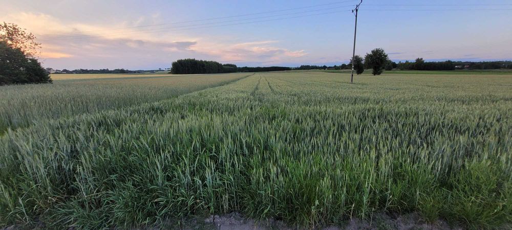 Działka rolna budowlana, grunt rolny, ponad 1 ha