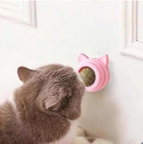 Котяча м'ята, іграшки для тварин