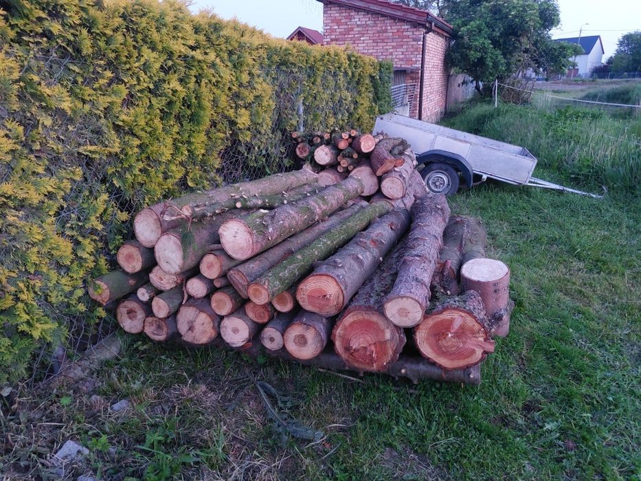 Drewno drzewo opalowe do kominka świerk, jodla modrzew, orzech.