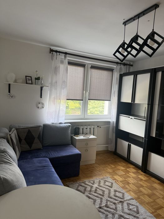 Zdjęcie 8