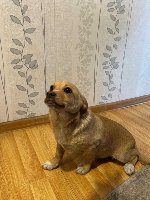 Oddam w dobre ręce !!!