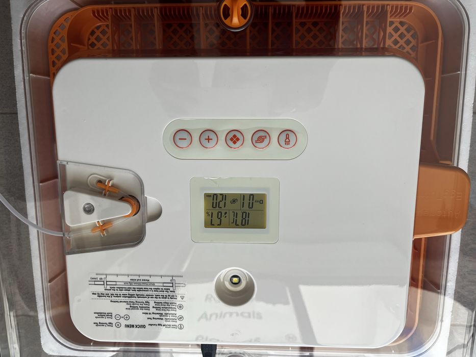 Chocadeira toda automatica de 56 ovos galinha portes incluidos