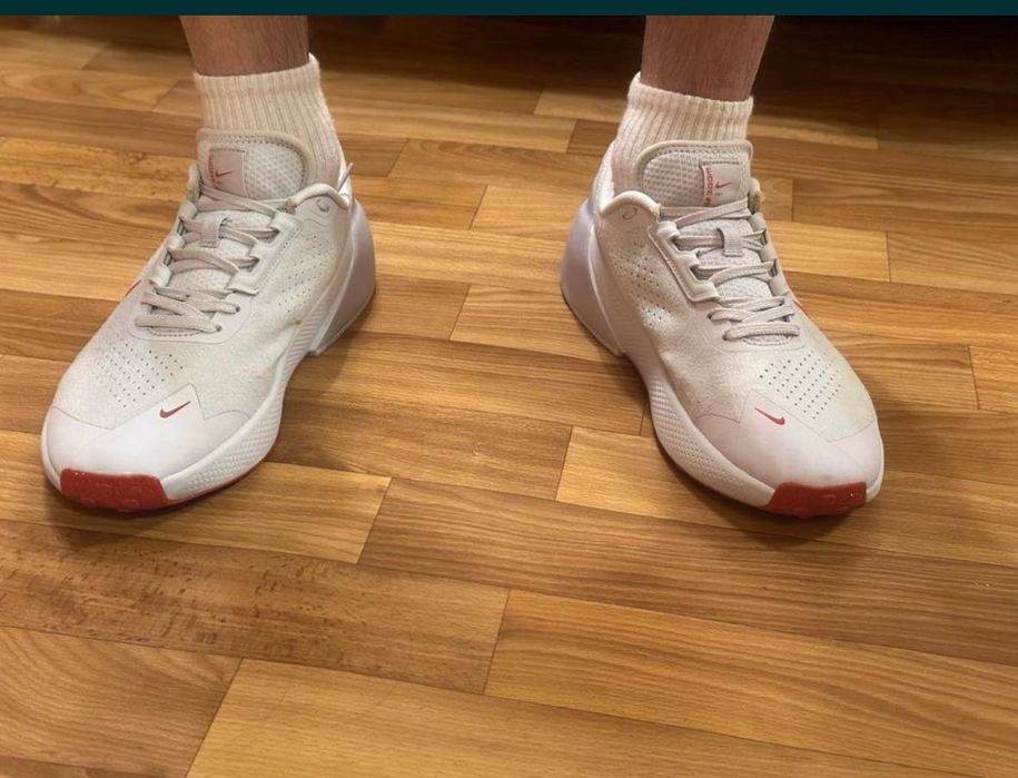Кросівки чоловічі Nike Air Zoom