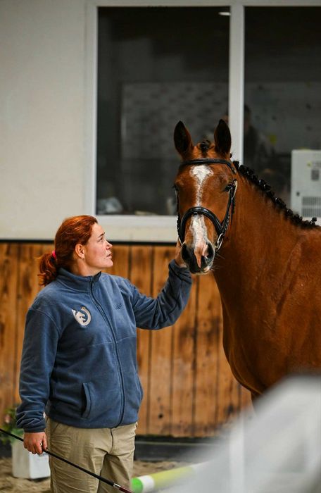 Trzyletnia klacz sportowa!