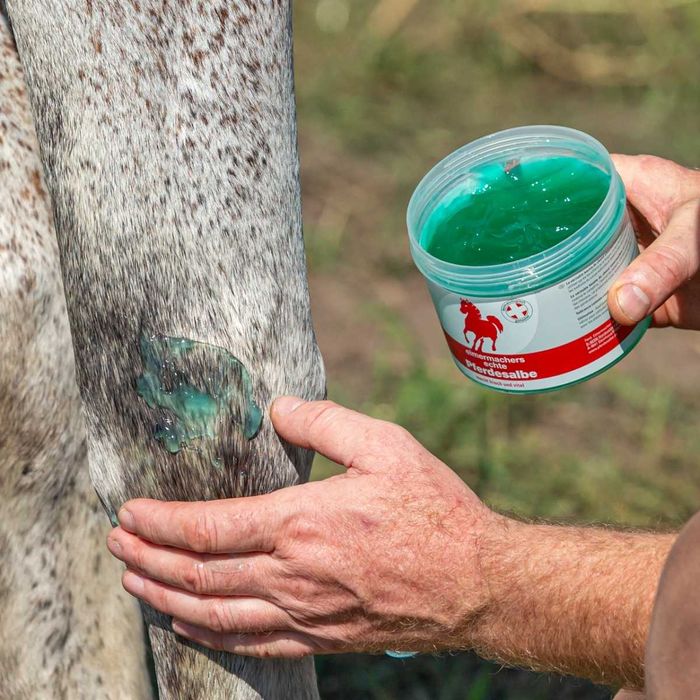 Maść końska.Żel przeciwzapalny dla koni, Eimermacher , 500ml