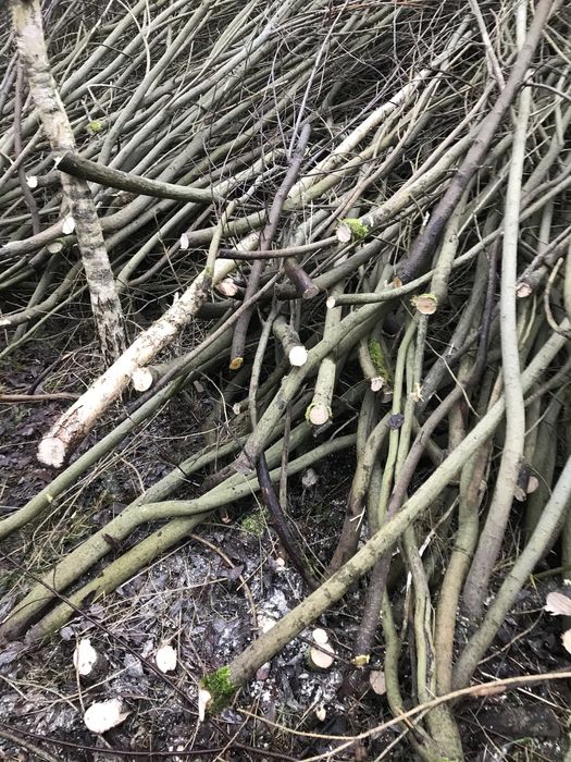 Gałęzie do rębaka