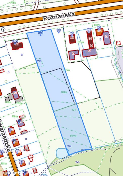 Wynajmę PLAC 5 000m² lub więcej przy ul. Poznańskiej - Widok 3