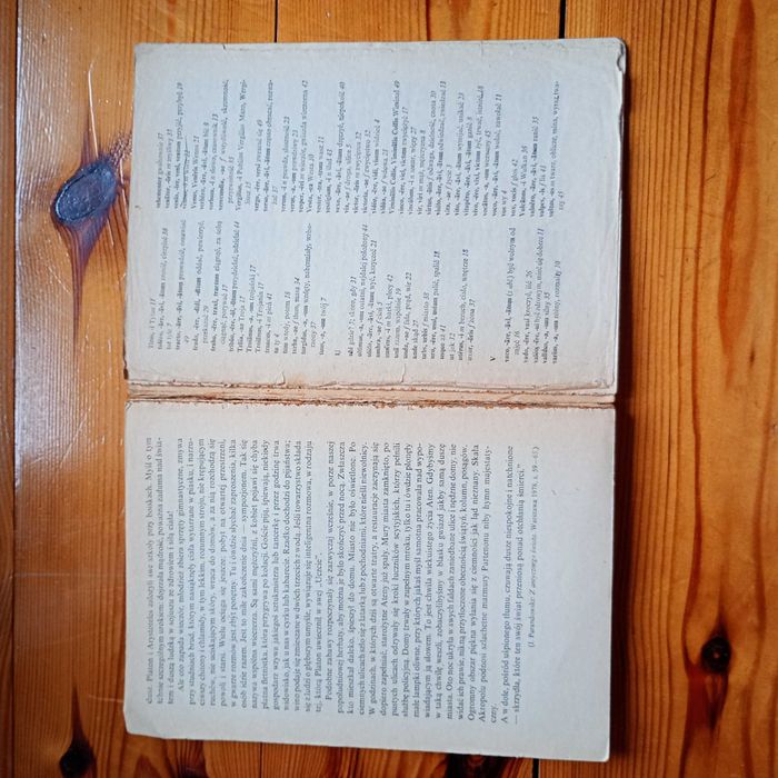 Lectio Latina Wilczyński, Zarych