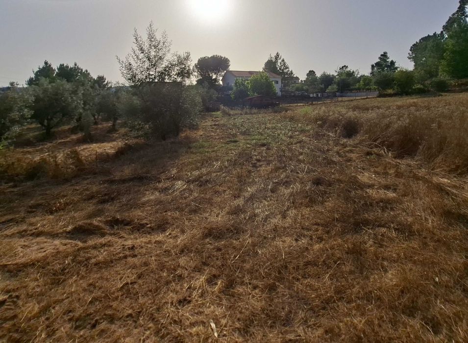 Vendo terreno em Vale Marelo com área aproximada de 9000m2"