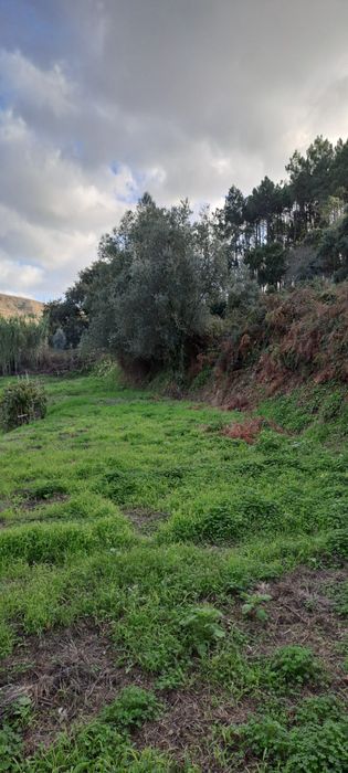 espectacular LOUSA LOURES 1.6 hectares a 15 min da capital Lisboa