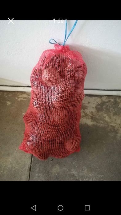 Pinhas em sacos 20 kg