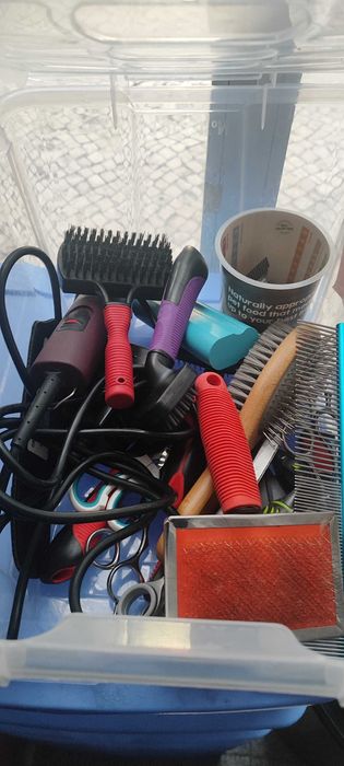 Aluga se espaço para banhos e tosquias já com todo o equipamento