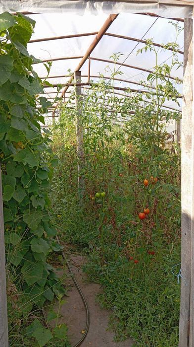 Продам кирпичный дом в Васищево
