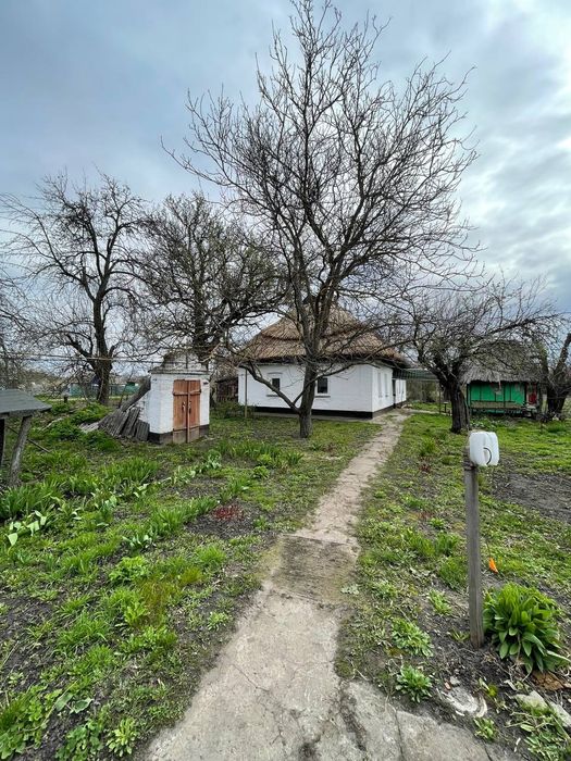 Будинок хата в селі