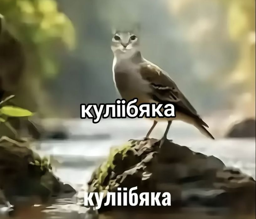 Yamaha sa16 на конфу ne (aerox slider bws)