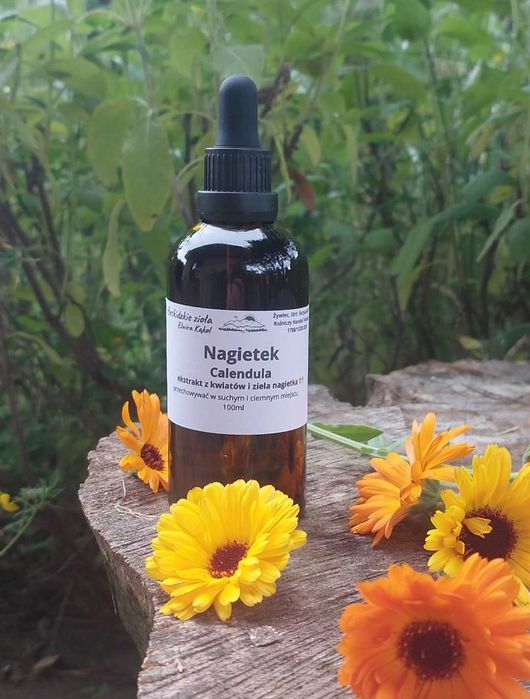 Nagietek Susz 50 g
