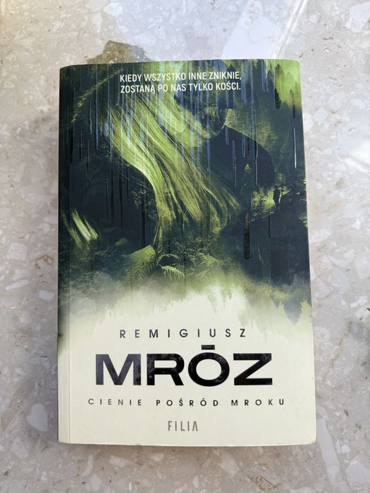 Remigiusz Mróz - Cienie pośród mroku