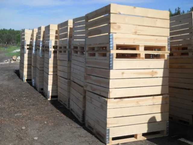 skrzyniopalety na jabłka gruszki ziemniaki warzywa kapuste